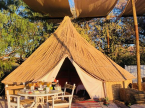 Гостиница Atacama Loft & Glamp  Сан-Педро-Де-Атакама